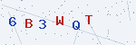 CAPTCHA verification code